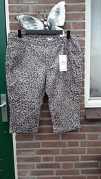 NIEUW! Prachtige print capri van MAGIC SIMPLICITY,50 STRETCH, Verzenden, Nieuw, Beige, Broek of Spijkerbroek