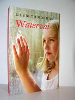 Liesbeth Morren - Waterval (christelijke roman), Boeken, Romans, Ophalen of Verzenden, Zo goed als nieuw, Nederland