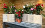 actie compleet prijs €25, Ophalen, Nieuw, Hout