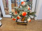Vintage bonsai jadeiet, Gebruikt, Ophalen of Verzenden