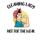 Schoonmaakster nodig of hulp?!, Vacatures, Vacatures | Schoonmaak en Facilitaire diensten, Overige vormen