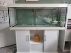 Aquarium Juwel 450, Dieren en Toebehoren, Ophalen, Gebruikt, Leeg aquarium