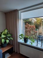 INBETWEEN VITRAGE NIEUW, Huis en Inrichting, Ophalen of Verzenden, Nieuw, 200 cm of meer, 200 cm of meer
