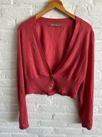 Sandwich Vest - Stijlvol en Comfortabel! beschikbaar voor biedingen