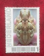 Persoonlijk postzegel digitale kunst fantasieën, Ophalen of Verzenden, Na 1940, Postfris