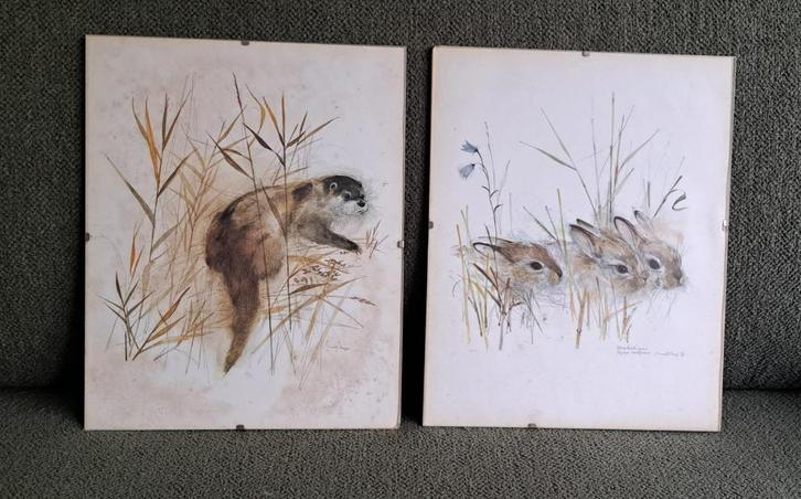 Mads stage aquarellen / potloodtekening 3 konijnen en Otter, Huis en Inrichting, Woonaccessoires | Schilderijen, Tekeningen en Foto's
