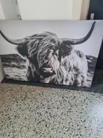Canvas koe / hooglander, Ophalen, 50 tot 75 cm, Zo goed als nieuw, Schilderij