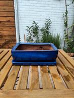Blauw terracotta ceramic plantenpot, Ophalen, Steen, Minder dan 30 cm, Rond