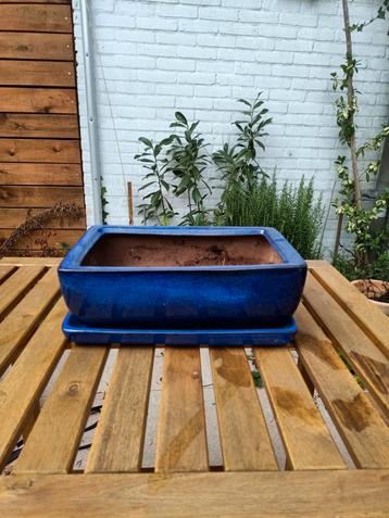 Blauw terracotta ceramic plantenpot beschikbaar voor biedingen