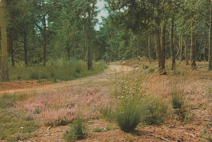 AMERICA Het Meerdal, Verzamelen, Ansichtkaarten | Nederland, Gelopen, Limburg, 1980 tot heden, Verzenden