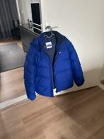 Winterjas Tommy mt S, Ophalen, Zo goed als nieuw, Blauw