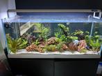 Volglas 260 liter aquarium te koop/te ruil, Dieren en Toebehoren, Ophalen, Zo goed als nieuw, Leeg aquarium