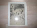 Tekening Hertje met jong in wissellijst van H. van Meegeren, Antiek en Kunst, Ophalen