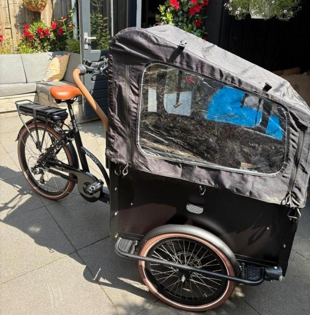 Elektrische Bakfiets - Ideaal voor Kinderen en Goederen, Overige merken, Gebruikt, Huif, Ophalen of Verzenden