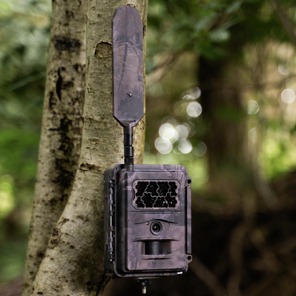 Seissiger Base-Cam LTE Supersim Edition wildcamera, Ophalen of Verzenden, Nieuw, Overige merken