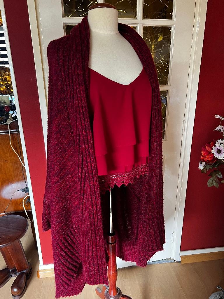 groot warm vest, Ophalen of Verzenden, Zo goed als nieuw, Maat 42/44 (L), Rood