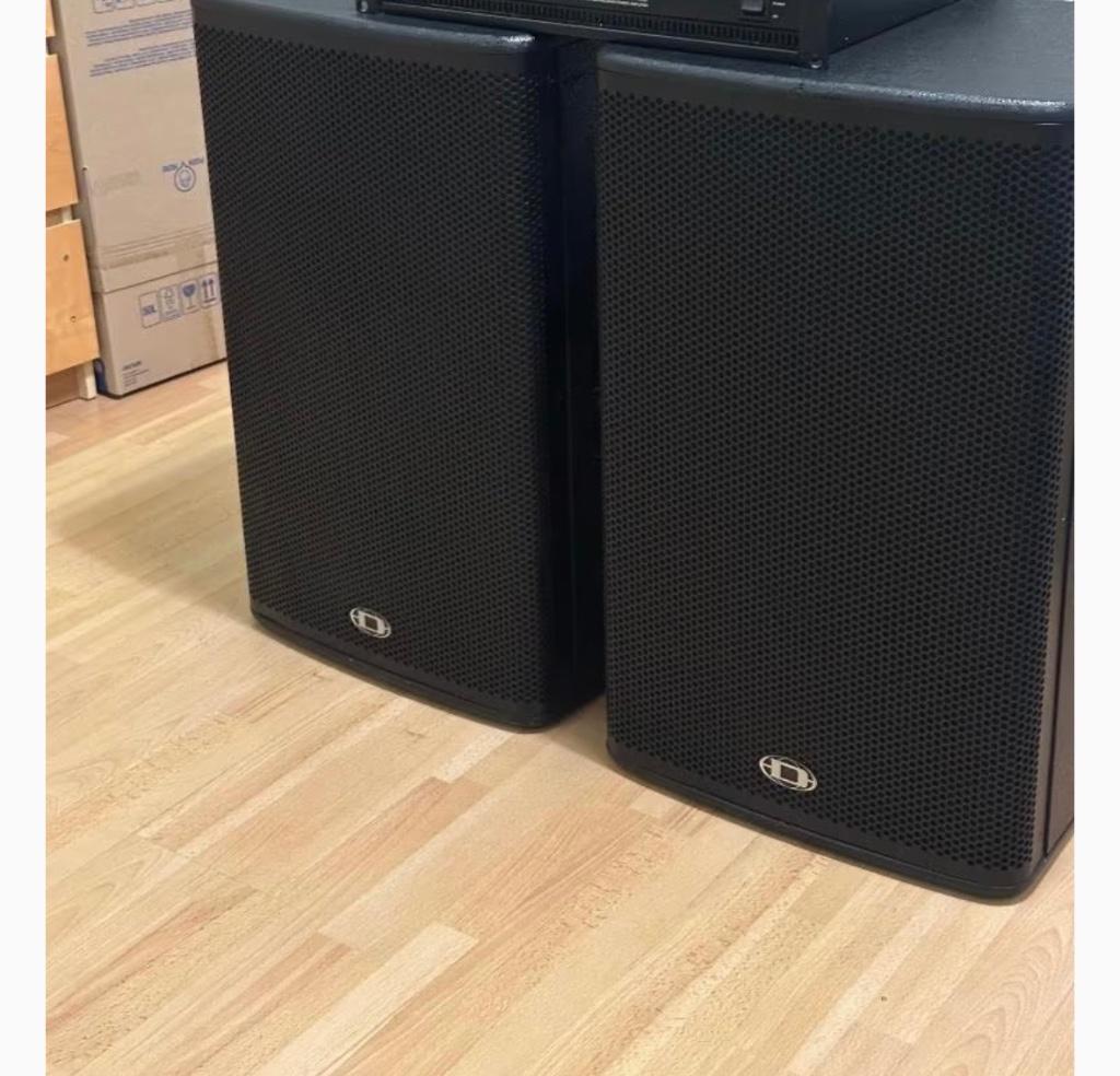 Dynacord A115, Audio, Tv en Foto, Luidsprekers, Ophalen, 120 watt of meer, Front, Rear of Stereo speakers, Overige merken