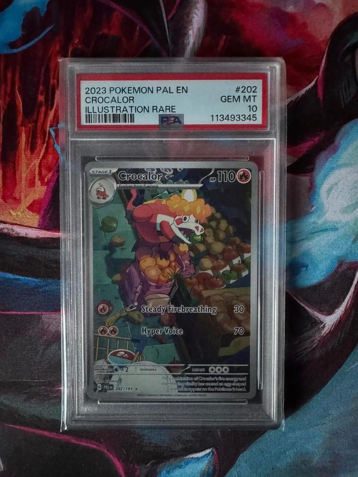 Crocalor 202 | PSA 10 | Paldea Evolved, Hobby en Vrije tijd, Verzamelkaartspellen | Pokémon, Zo goed als nieuw, Ophalen of Verzenden