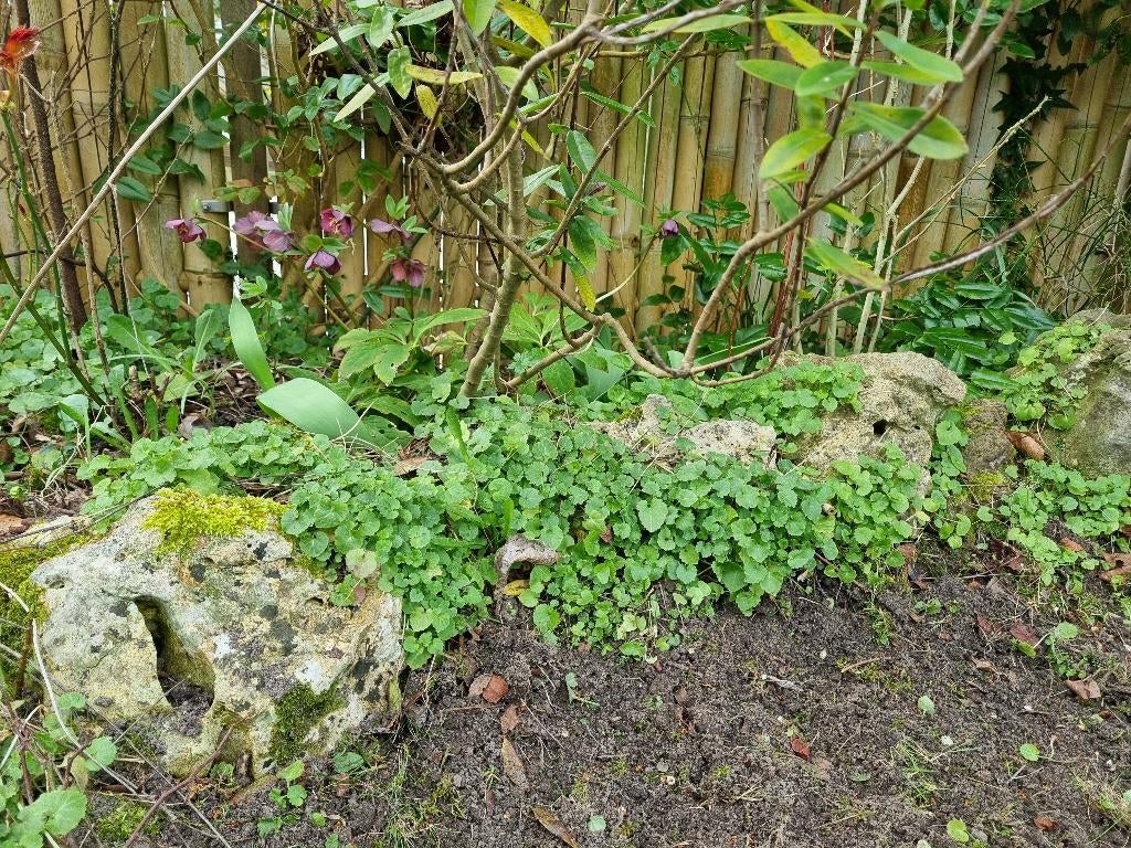 Rotsblokken, Tuin en Terras, Ophalen, Gebruikt, Bruin, Overige typen