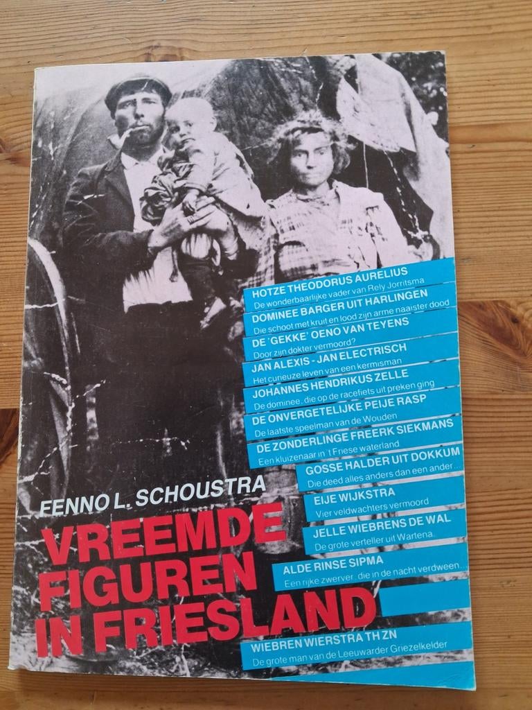 Vreemde figuren in Friesland - Fenno L. Schoustra, Boeken, Ophalen of Verzenden, Zo goed als nieuw