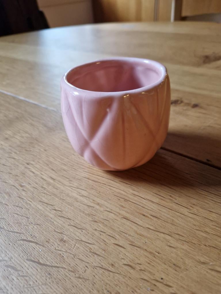 ROSE MINI 🌸🌸 BLOEMPOTJE, Ophalen of Verzenden