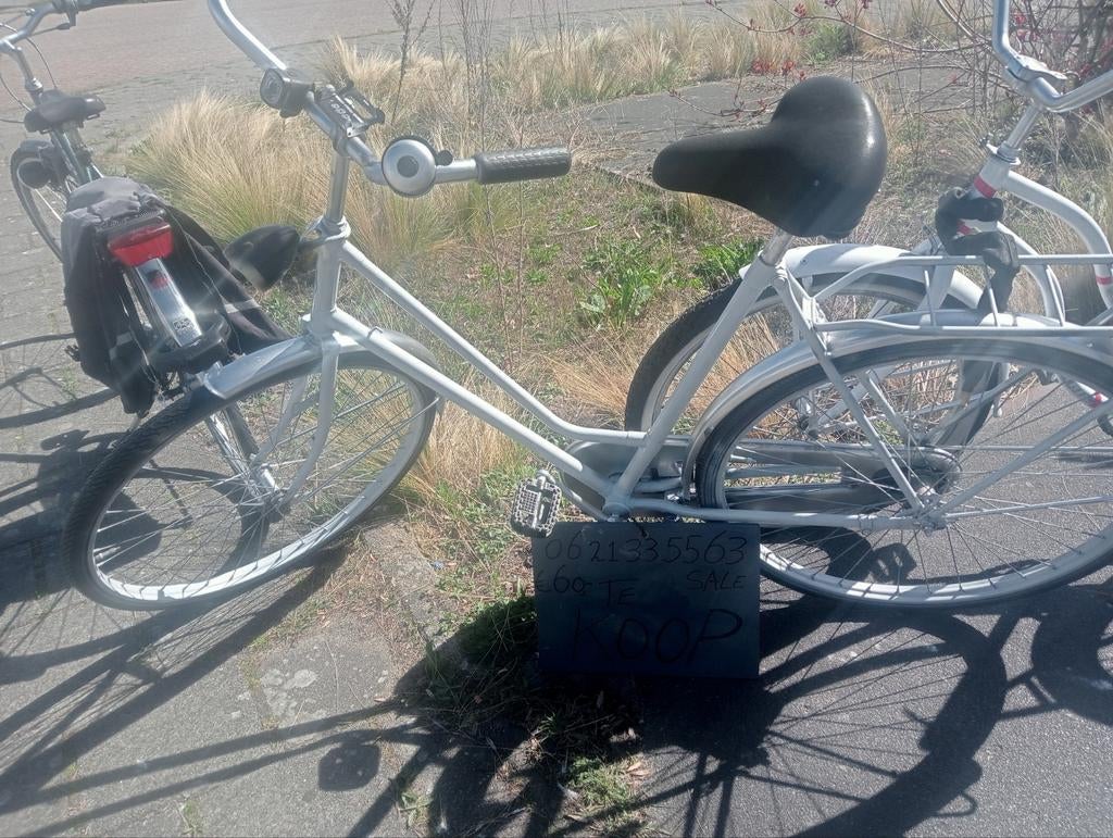 Gazelle, Ophalen of Verzenden, Gebruikt, 20 inch of meer, Gazelle