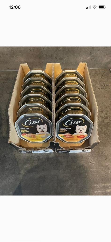 12 blikjes Cesar, Dieren en Toebehoren, Ophalen of Verzenden, Nieuw
