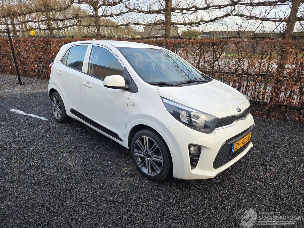 Kia Picanto 1.0 MPI Dynamic Line (bj 2019), Kia, Wit, Handgeschakeld, 998 cc