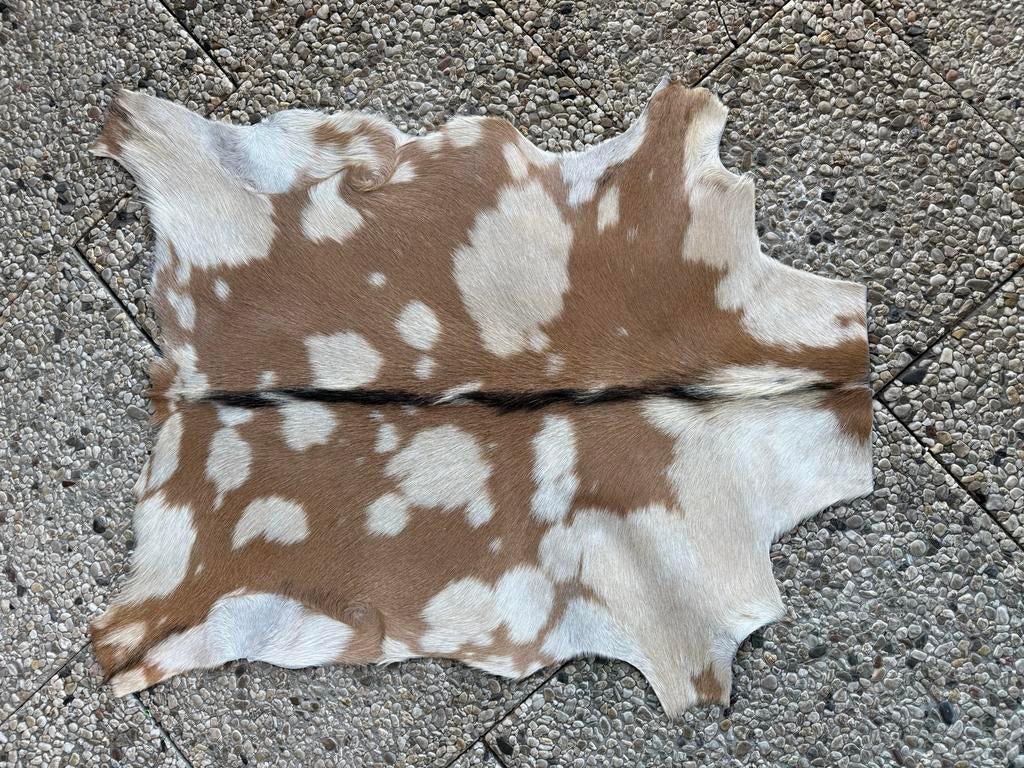 Geitenhuid nieuw, Ophalen of Verzenden, Nieuw, Rechthoekig, 50 tot 100 cm