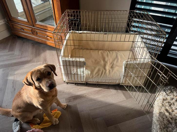 Bench goudkleur van Lords&Labradors, Dieren en Toebehoren, Hondenbenches, Zo goed als nieuw, Ophalen