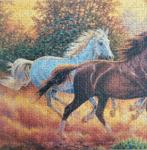 Panorama puzzel Paarden. 1000 stukjes., Ophalen of Verzenden, 500 t/m 1500 stukjes, Zo goed als nieuw