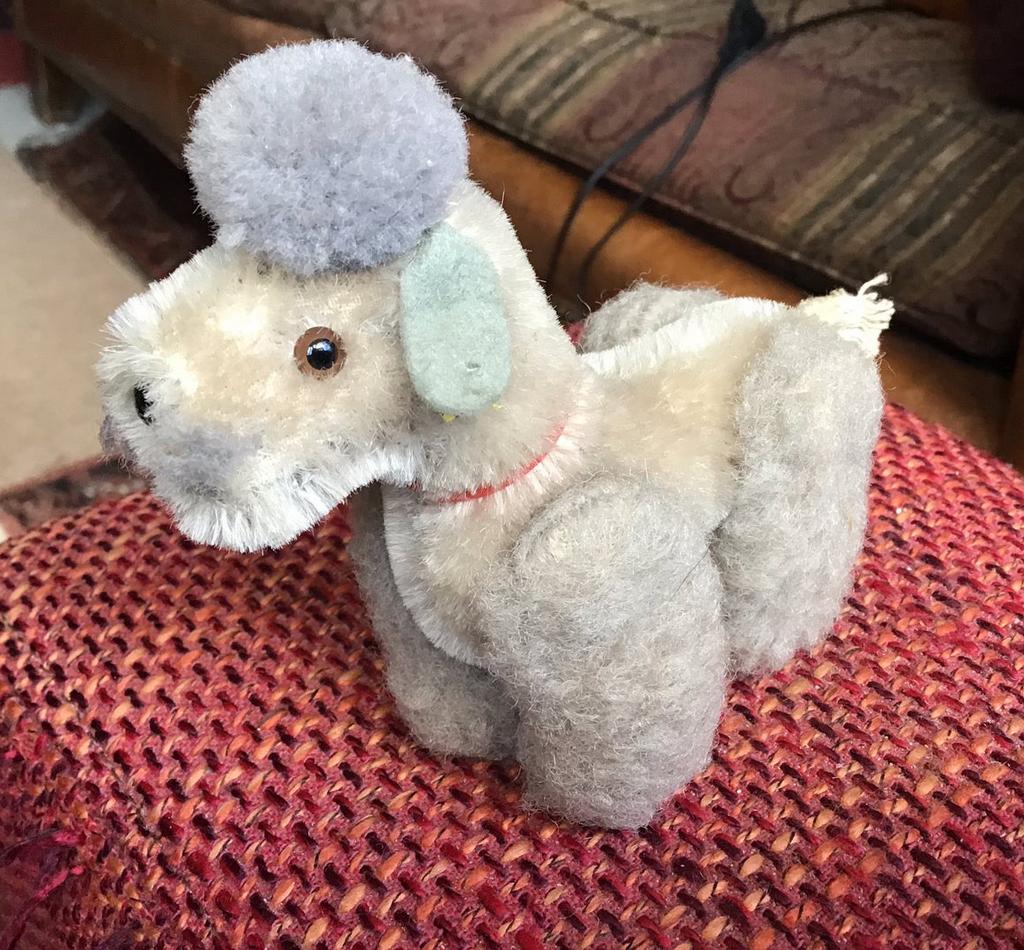 Steiff Poedel met Knopje…, Ophalen of Verzenden