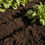 Moestuin grond, Tuin en Terras, Aarde en Mest, Ophalen of Verzenden, Tuinaarde