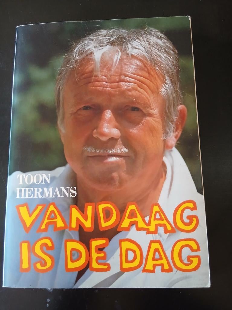 Toon Hermans - Vandaag is de dag, Boeken, Overige Boeken, Ophalen of Verzenden