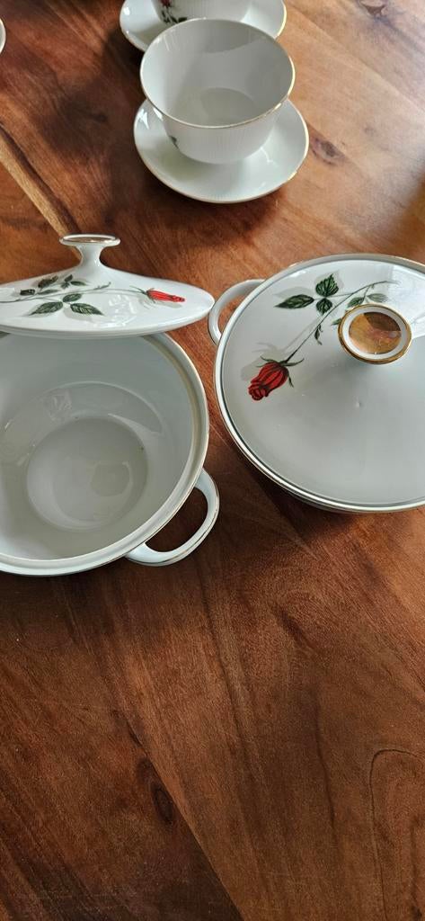 Porselein servies van Winterling Marktleuthen Bavaria., Huis en Inrichting, Keuken | Servies, Ophalen, Zo goed als nieuw, Overige stijlen
