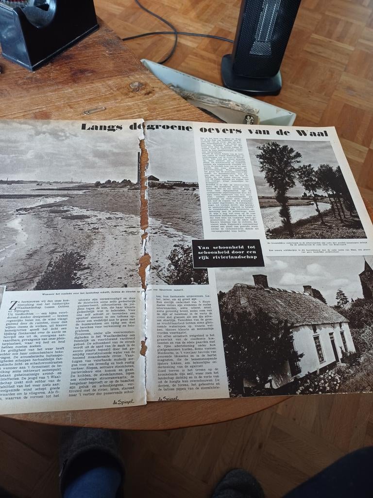 Artikel over oevers van de Waal Dodewaard,  Hien, 1955, Ophalen of Verzenden, 1940 tot 1960, Knipsel(s)