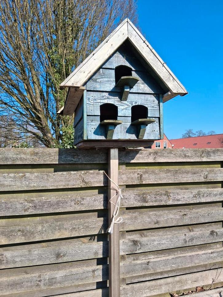 Duiventil op Rvs voet, Dieren en Toebehoren, Vogels | Duiven, Overige soorten, Meerdere dieren