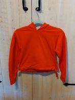 Oranje trui /  Koningsdag 134/140, Ophalen of Verzenden, Zo goed als nieuw, Meisje, Trui of Vest