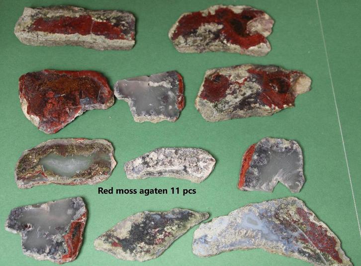 Red moss agaten (11 pcs), Verzamelen, Mineralen en Fossielen, Mineraal, Ophalen of Verzenden