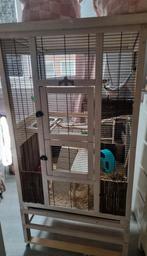 Groot vogels of goudhamster hok, Dieren en Toebehoren, Ophalen, Hok, Minder dan 60 cm