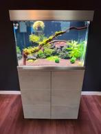 Eheim Aquarium met Chihiros Verlichting., Dieren en Toebehoren, Vissen | Aquaria en Toebehoren, Ophalen, Zo goed als nieuw, Leeg aquarium