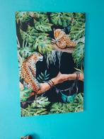 Jungle decoratie, Ophalen of Verzenden