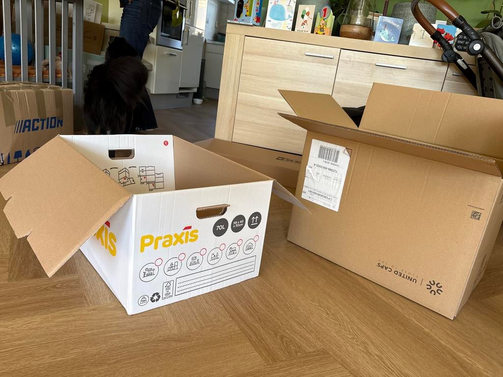 Partij van 13 verhuisdozen (Praxis en onbekend merk), 40 tot 60 cm, Opvouwbaar, 50 tot 75 cm, Ophalen of Verzenden