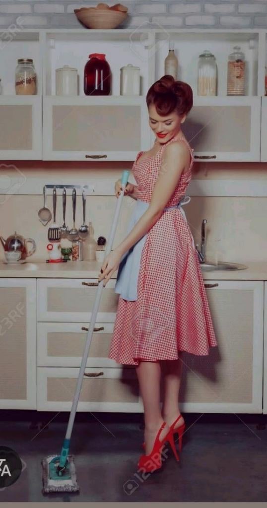 Schoonmaakster, Ophalen of Verzenden, Apparaat