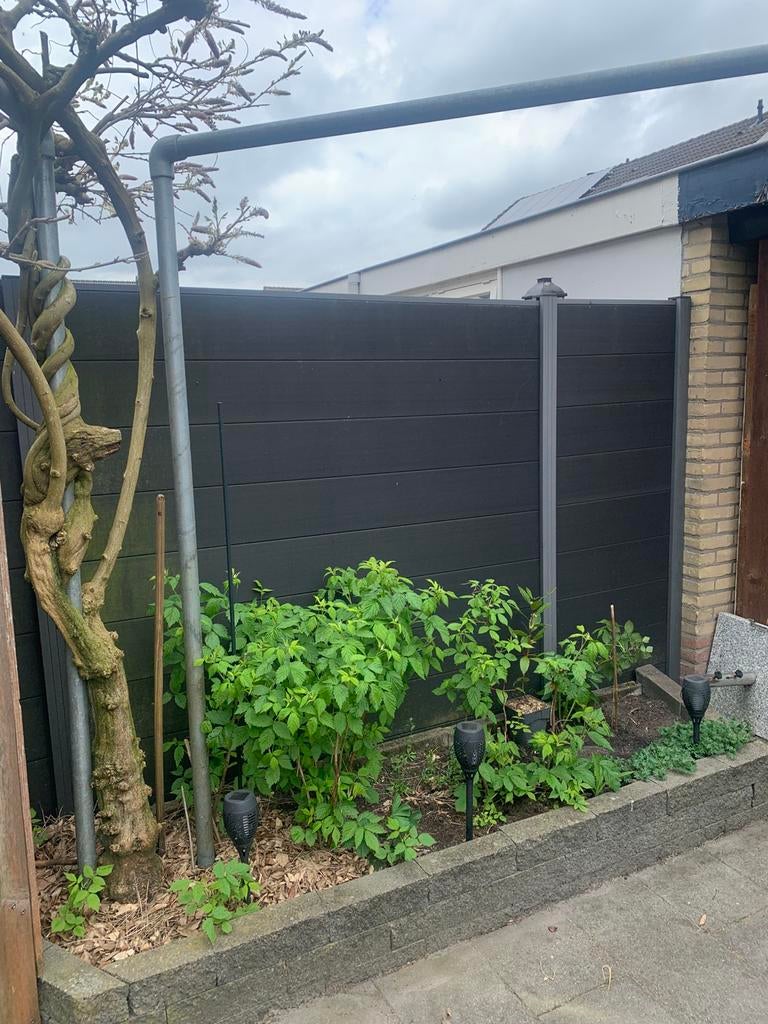 Pergola van gegalvaniseerd staal!, Ophalen, Zo goed als nieuw, 250 cm of meer, Palen