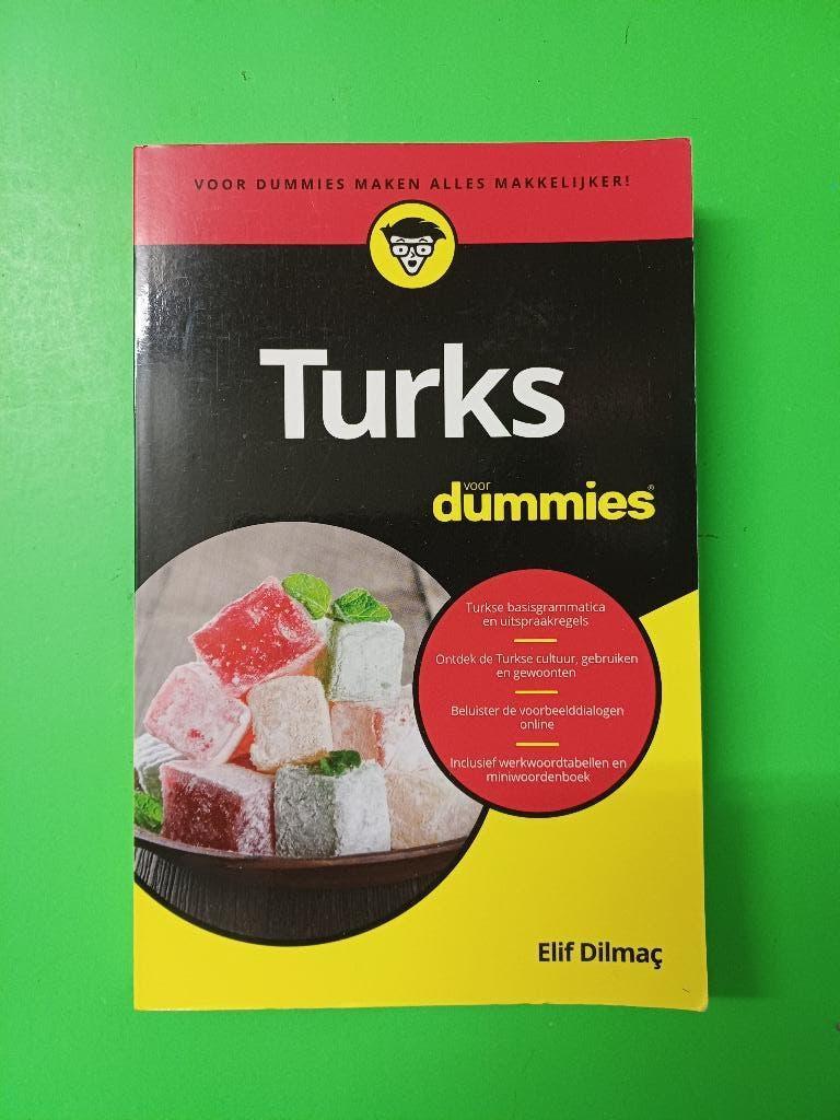 Boek - Turks voor Dummies, Boeken, Taal | Overige Talen, Ophalen of Verzenden, Gelezen