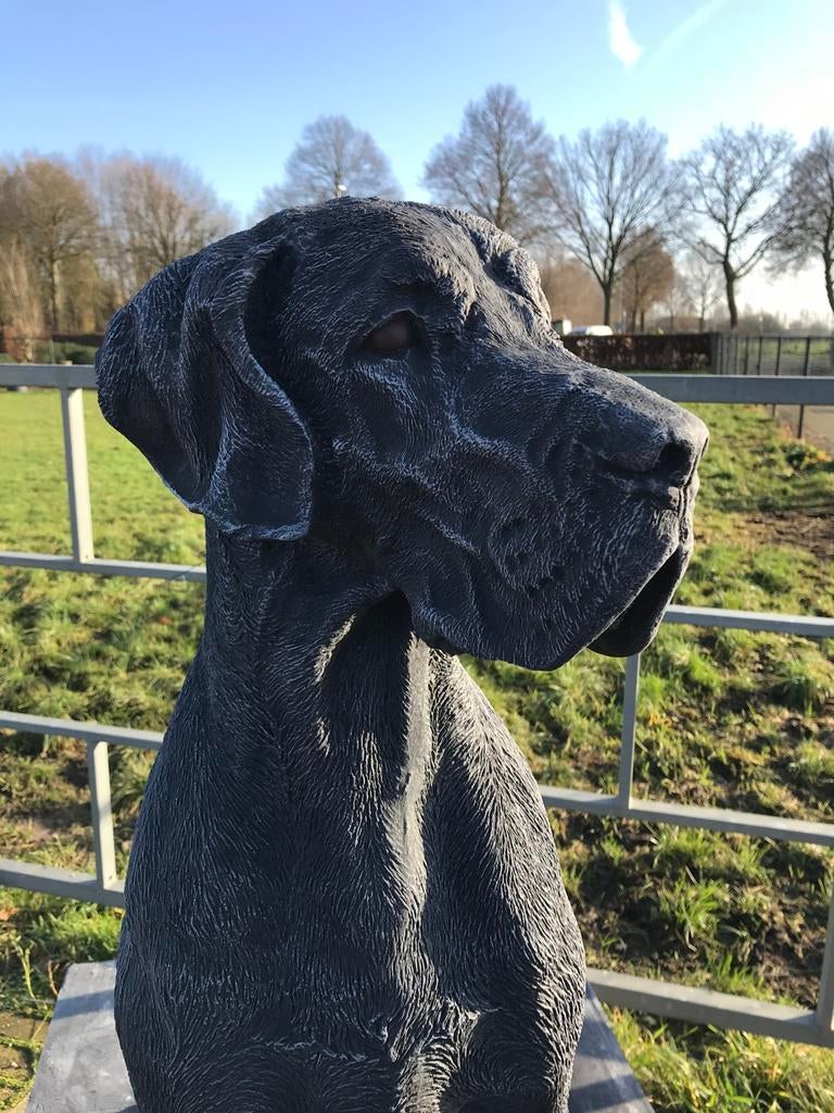 ‼️Dog 106cm 200kg Dogge Duitse dog Deense dogo reu Fokkerij, Ophalen of Verzenden, Nieuw, Beton, Dierenbeeld