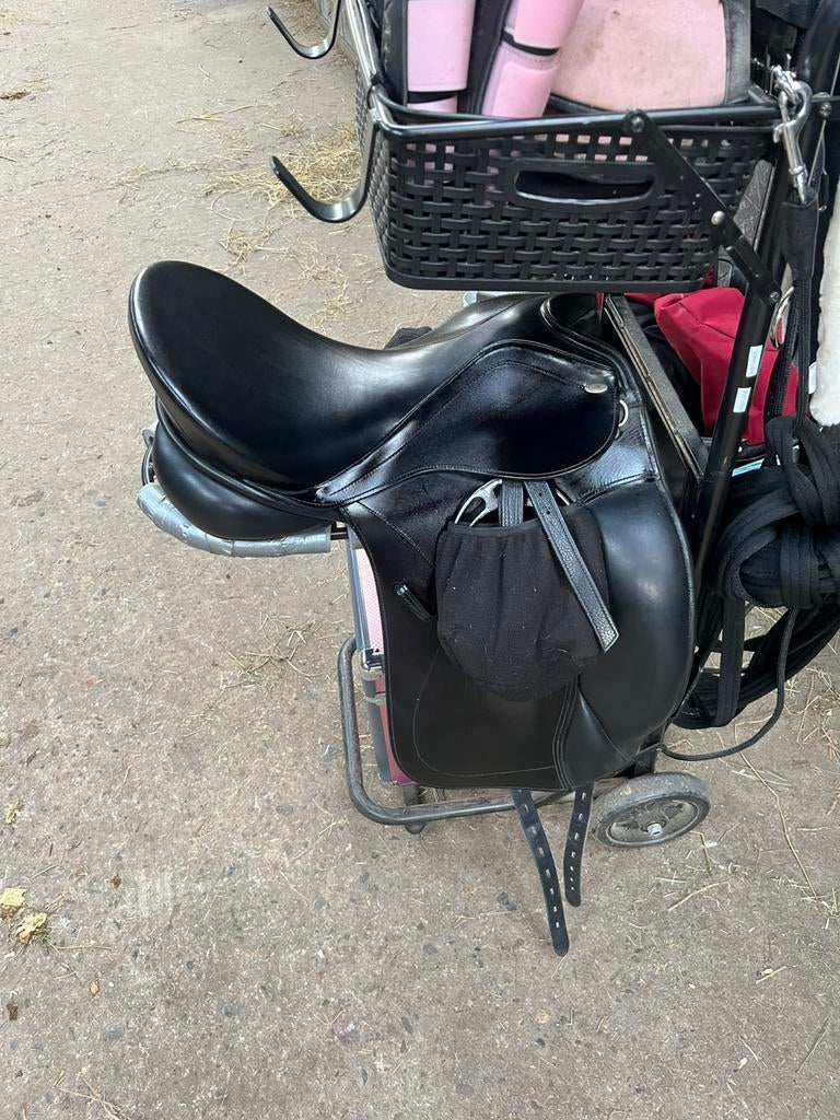 Super mooie dressuur kentaur 17,5 Inch, Dieren en Toebehoren, Ophalen of Verzenden, Gebruikt