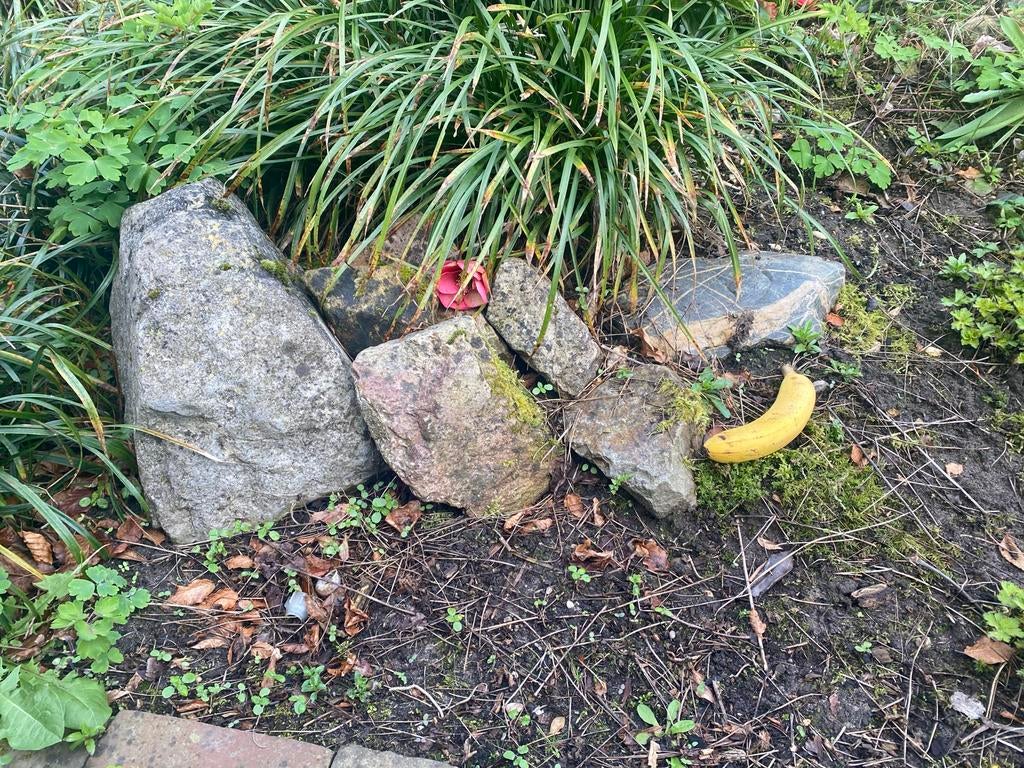 Sierstenen in allerlei formaten (gratis), Tuin en Terras, Grind, Keien en Split, Ophalen, Gebruikt, Grijs, Kei