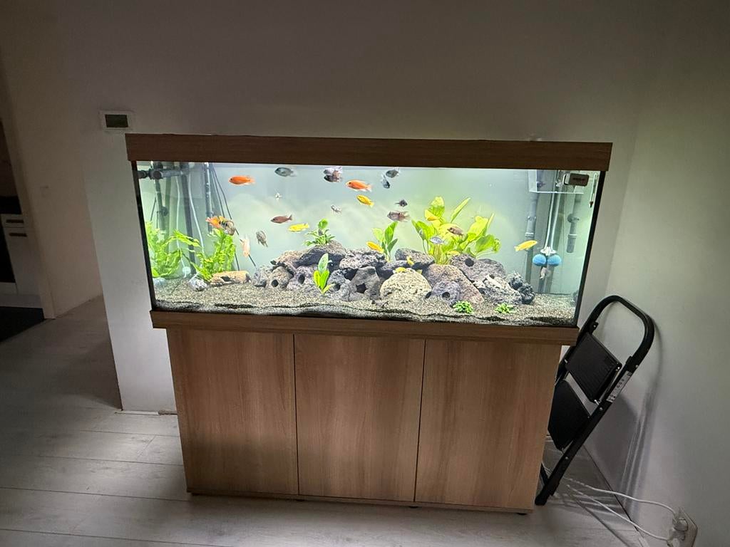 Juwel Rio 450 | Lees beschrijving, Dieren en Toebehoren, Ophalen of Verzenden, Zo goed als nieuw